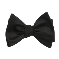 Bow Tie Collection